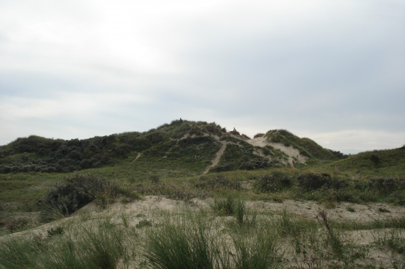 minicamper-bloemendaalaanzee