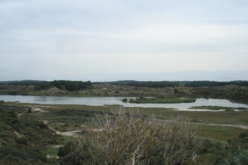 minicamper-bloemendaalaanzee