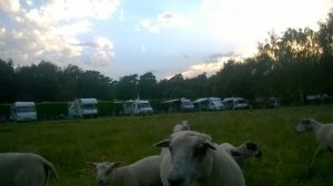 groot_WP_20140607_001