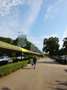 minicamper-slagharen2