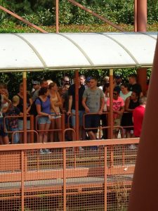 minicamper-slagharen18