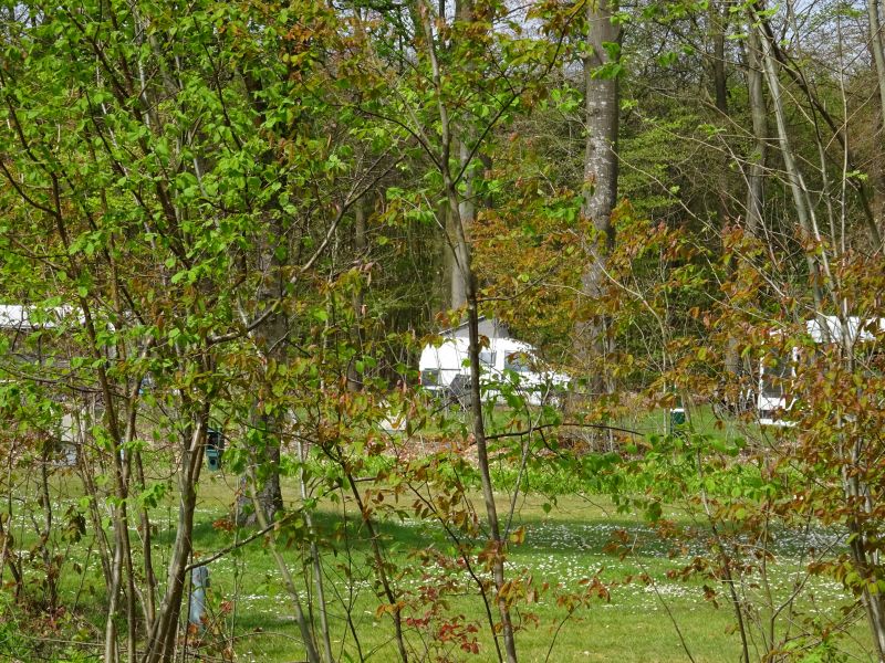 minicamper-appelscha2017-08