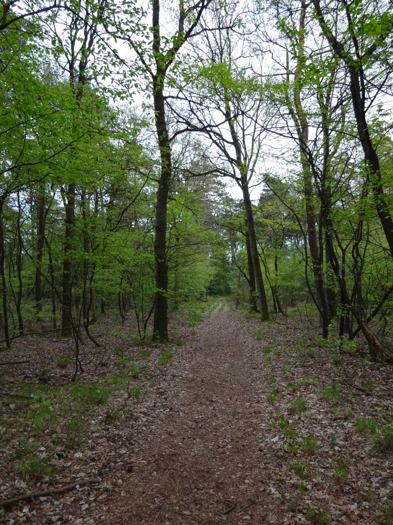 minicamper-appelscha2017-24