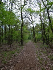 minicamper-appelscha2017-24