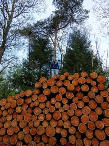 minicamper-appelscha2017-27