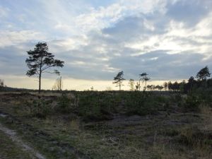 minicamper-appelscha2017-29