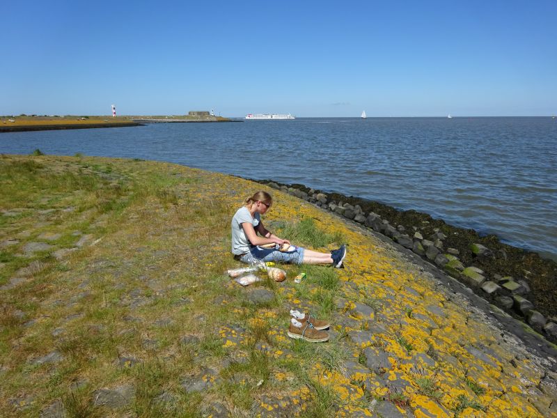 minicamper-callantsoog2017-02