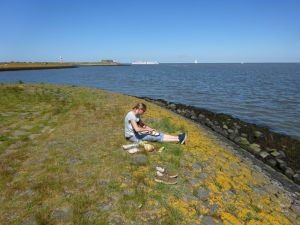 minicamper-callantsoog2017-02