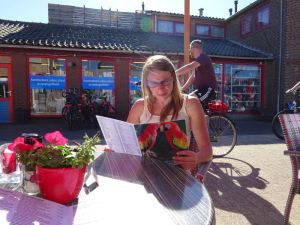 minicamper-callantsoog2017-08