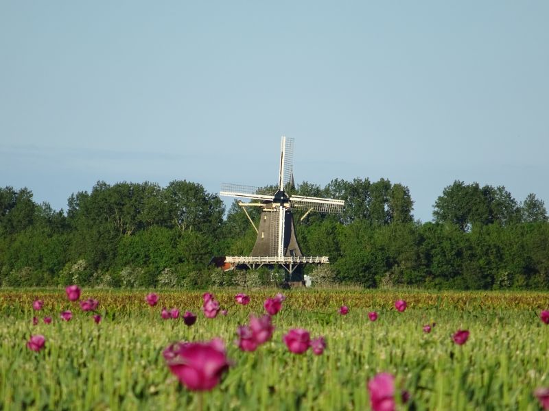 minicamper-callantsoog2017-12