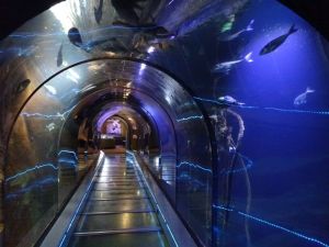 minicamper-callantsoog2017-18