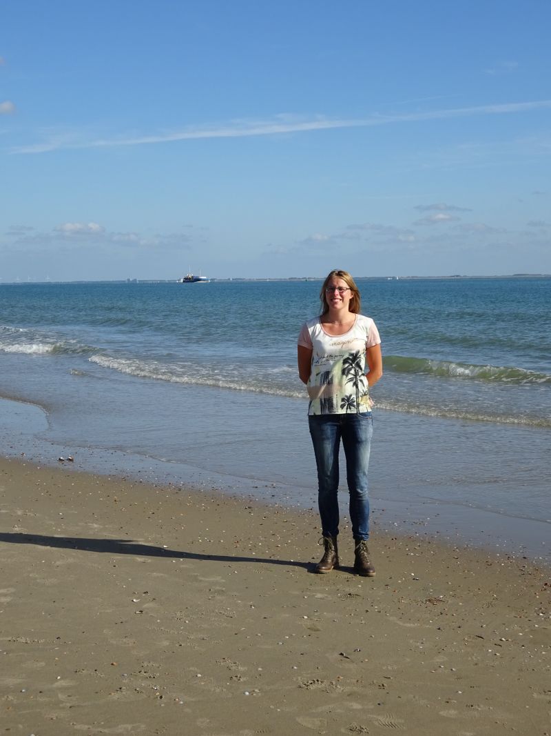 minicamper-kluithoek-zeeland-04