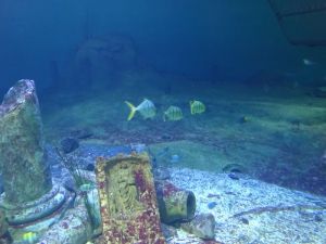 minicamper-kluithoek-zeeland-21