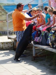 minicamper-kluithoek-zeeland-22