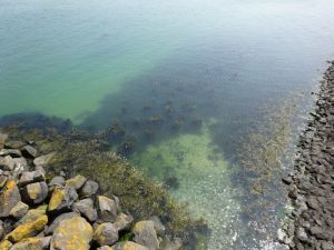 minicamper-kluithoek-zeeland-25