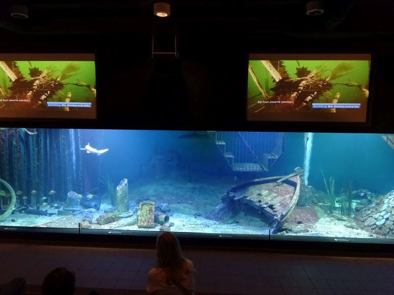 minicamper-kluithoek-zeeland-31