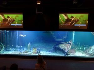 minicamper-kluithoek-zeeland-31