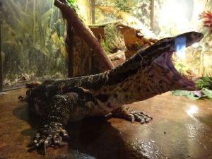 minicamper-kluithoek-zeeland-38