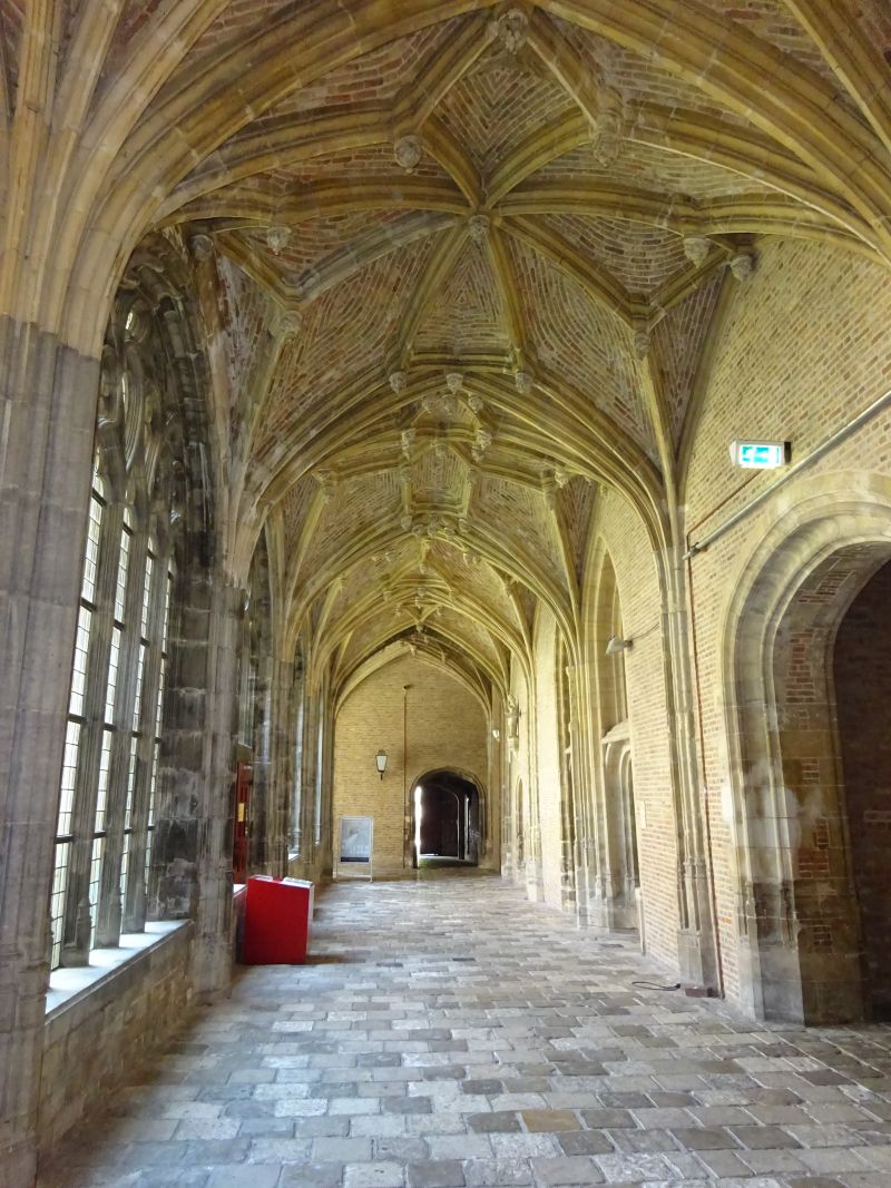 minicamper-kluithoek-zeeland-42