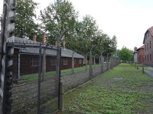 minicamper-auschwitz-dag2-02
