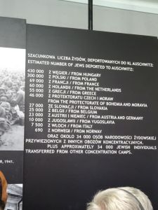 minicamper-auschwitz-dag2-03