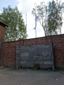 minicamper-auschwitz-dag2-06