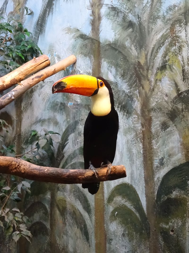 minicamper-warschau-dag3-02