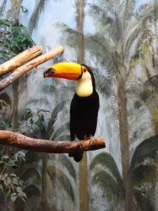 minicamper-warschau-dag3-02