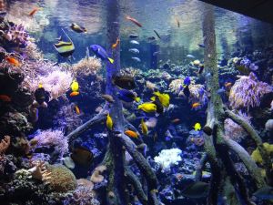 minicamper-warschau-dag3-03