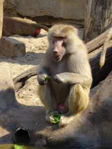 minicamper-warschau-dag3-04