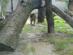 minicamper-warschau-dag3-06