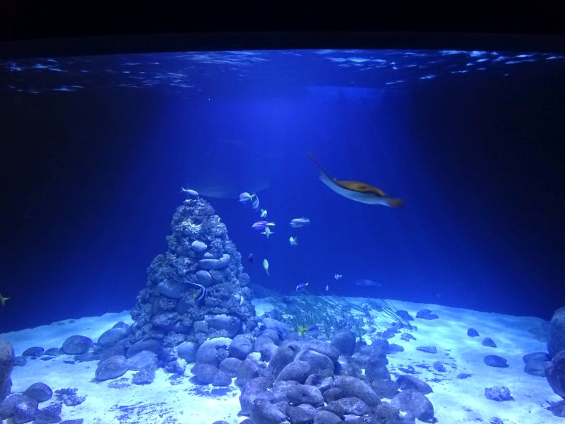 minicamper-warschau-dag3-07