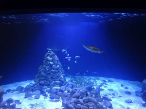 minicamper-warschau-dag3-07