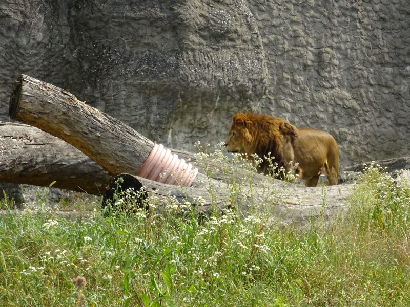 minicamper-warschau-dag3-08