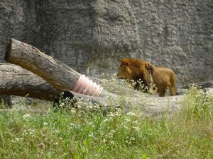 minicamper-warschau-dag3-08