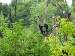 minicamper-warschau-dag3-09