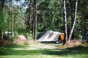 minicamper-zanderdennen-4