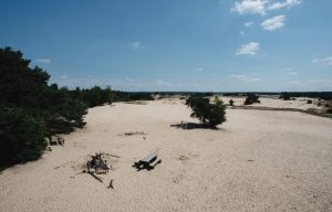 minicamper-zanderdennen-2