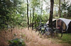 minicamper-zanderdennen-5