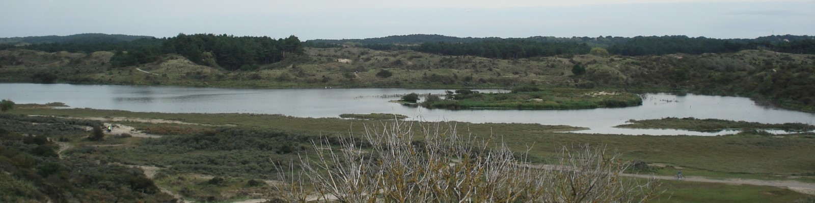 mimicamper bloemendaal aan zee duinen strand