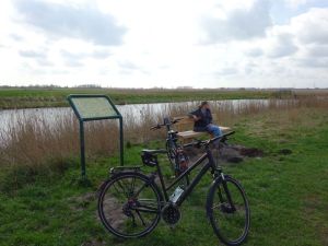 minicamper-lewenborg-oostindie