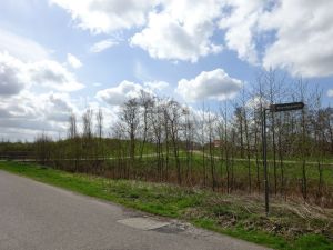 minicamper-lewenborg-oostindie