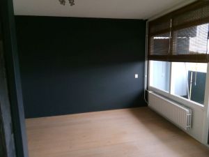 minicamper-verhuizen-meerpaalleeg