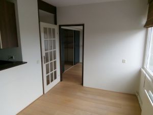 minicamper-verhuizen-meerpaalleeg