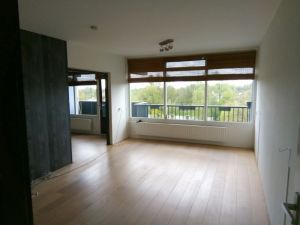 minicamper-verhuizen-meerpaalleeg