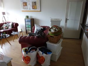 minicamper-voorjaarsschoonmaak-verhuizen-01