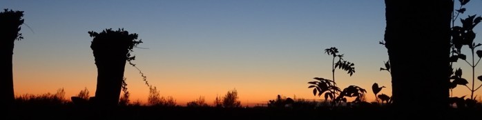 minicamper kropswolde