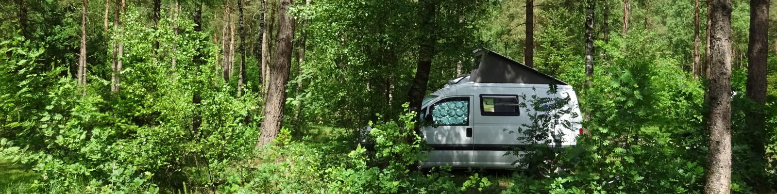 minicamper kamperen kootwijk zanderdennen