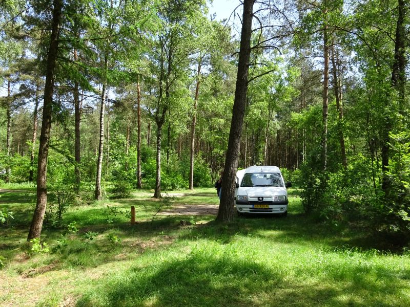 minicamper kamperen kootwijk zanderdennen