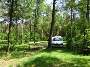 minicamper kamperen kootwijk zanderdennen